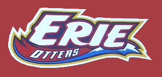 Erie Otters 2003-pres alternate logo iron on transfers for clothing